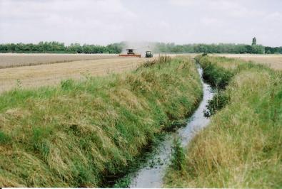 Harvesting the Showground fields, Clay Farm, with Hobson’s Brook in the foreground, with the Paragon area to the left. Photo: Andrew Roberts, August 2007.