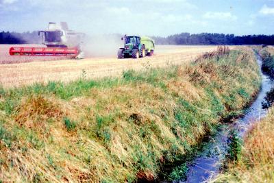 Harvesting the Showground fields, Hobson’s Brook in the foreground, looking north towards the shelter belt. Photo: Andrew Roberts, August 2007.