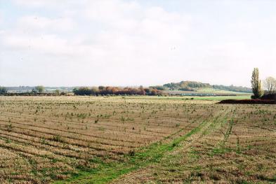 Looking across the Showground fields towards the railway and Nine Wells, with the Seven Acres area to right as far as the poplar tree. Photo: Andrew Roberts, 2 November 2007.