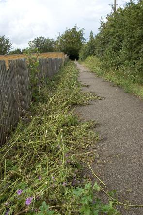 The footpath from Bishop’s Road to Hauxton Road. Photo: Stephen Brown, July 2007.