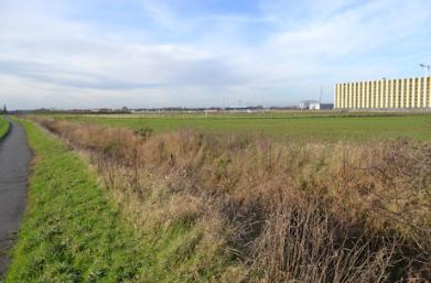 Looking from the cycle path from Great Shelford to Addenbrooke's Hospital across the field allocated for the further expansion of the Cambridge Biomedical Campus. Photo: Andrew Roberts, 13 January 2016.