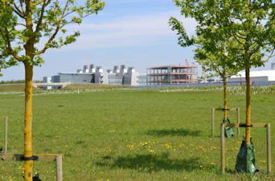 LMB and the AstraZeneca development from the Clay Farm park. Photo: Andrew Roberts, 8 May 2016.