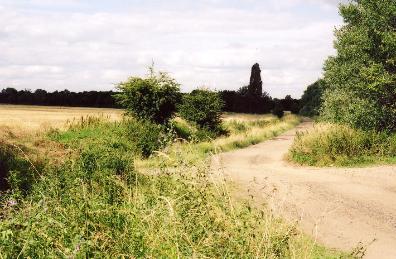 Along the line of the old railway, looking north east from the crossing point with the track from the allotments to Addenbrooke’s Hospital. Photo: Andrew Roberts, August 2007.
