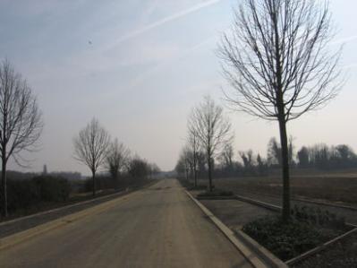 The Clay Farm spine road, looking south from Long Road. Photo: Elizabeth Rolph, 23 March 2012.