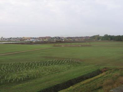 Looking across the Clay Farm park from the Busway bridge. Photo: Elizabeth Rolph, 1 November 2013.