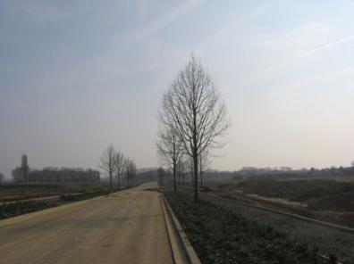 The Clay Farm spine road, looking south towards the path from Trumpington to Addenbrooke’s. Photo: Elizabeth Rolph, 23 March 2012.