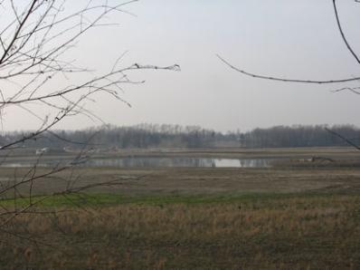 Looking across the Clay Farm country park from the south. Photo: Elizabeth Rolph, 23 March 2012.