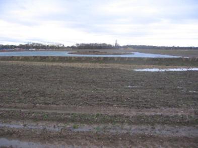 The lake in the southern green corridor, Clay Farm. Photo: Elizabeth Rolph, 7 December 2012.