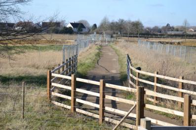 The footpath near the crossing over Hobson’s Brook, Clay Farm. Photo: Andrew Roberts, 26 February 2012.