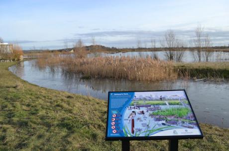 The bird reserve and lake on Hobson's Park, after heavy rain. Photo: Andrew Roberts, 15 February 2021.