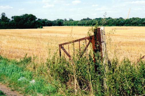 Harvested fields at Clay Farm, to the north of the track from Paget Close to Addenbrooke’s Hospital. Andrew Roberts, August 2007.