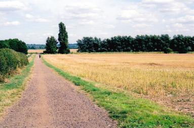 Looking to the east along the track from Paget Close to Addenbrooke’s Hospital, at the rear of Paget Close. Photo: Andrew Roberts, August 2007.
