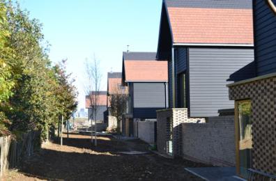 The green corridor to the rear of Royal Way with the shelter belt trees to the left, Abode development, 28 October 2014.