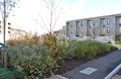 The play area alongside Addenbrooke�s Road, Seven Acres development, 9 November 2014.
