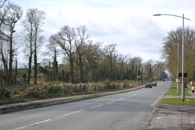Looking along Long Road from the Rutherford Road junction after tree clearance. Photo: Andrew Roberts, 27 February 2011.