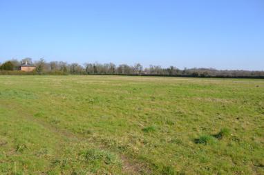 Looking from Wingate Way across the Clay Farm fields towards Long Road, with Clay Farm House. Photo: Andrew Roberts, 7 March 2011.