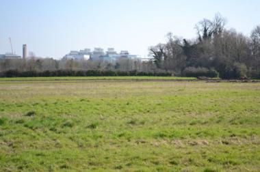 Looking from Wingate Way across the Clay Farm fields towards the hospital. Photo: Andrew Roberts, 7 March 2011.