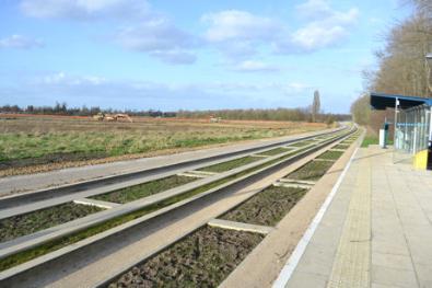 Looking from the CGB bus stop towards the fields behind Foster Road, with clearance in advance of archaeological work. Photo: Andrew Roberts, 7 March 2011.