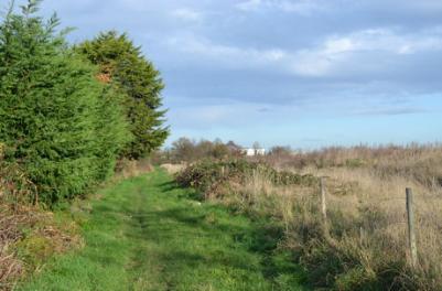 Looking along the path to the rear of Foster Road, Clay Farm, 8 December 2014.