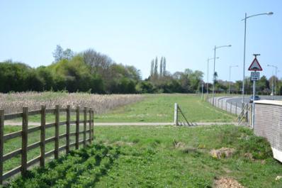 Looking from Hobson’s Brook across the southern block of land, Addenbrooke’s Road, Clay Farm. Photo: Andrew Roberts, 9 April 2011.