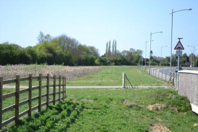 Looking from Hobson’s Brook across the Seven Acres area, Clay Farm. Photo: Andrew Roberts, 9 April 2011.