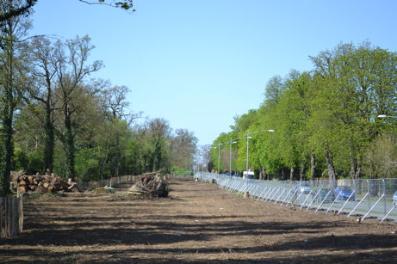 The south side of Long Road after tree clearance. Photo: Andrew Roberts, 9 April 2011.