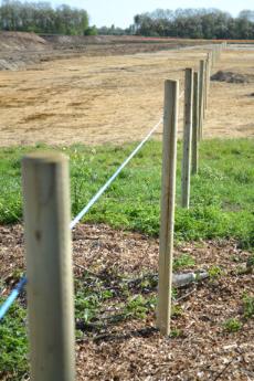 Looking across the Clay Farm field along the line of the spine road towards the CGB line. Photo: Andrew Roberts, 10 April 2011.