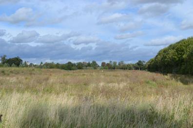The site of the secondary school, from the path to Addenbrooke’s, Clay Farm. Photo: Andrew Roberts, 25 September 2012.