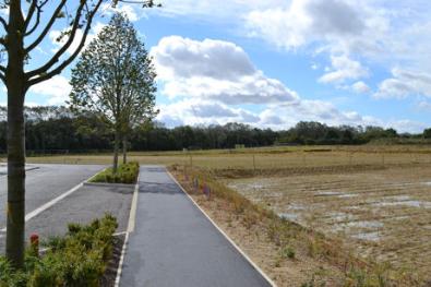 The spine road and site of the community centre, Clay Farm. Photo: Andrew Roberts, 25 September 2012.