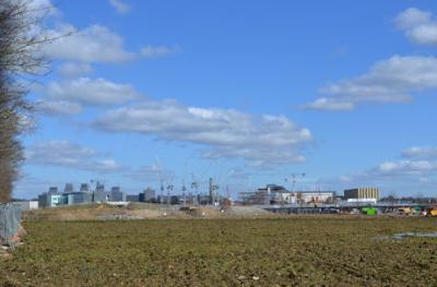 Looking across the primary school site towards CBC, from the shelter belt to the west of the Abode development. Photo: Andrew Roberts, 4 March 2016.