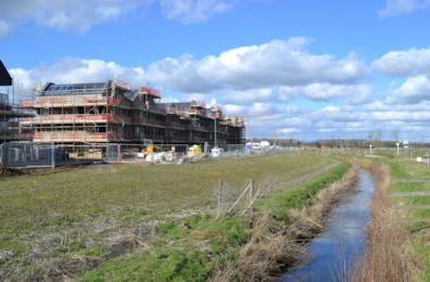 Progress with homes on Southwell Drive, parallel with Hobson's Brook, Paragon development. Photo: Andrew Roberts, 4 March 2016.