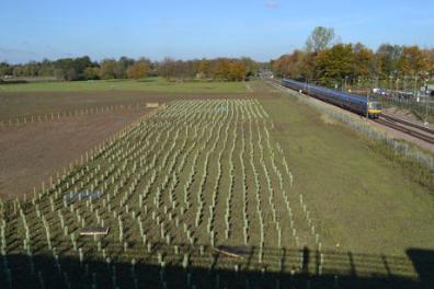 The northern part of the Clay Farm park, with newly-planted trees, from the Busway bridge. Photo: Andrew Roberts, 5 November 2012.