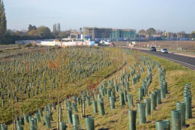 Looking from Addenbrooke’s Road bridge to the Seven Acres development. Photo: Andrew Roberts, 6 November 2012.
