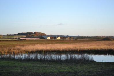 Looking across the Clay Farm park towards the Addenbrooke’s Road bridge from the Busway. Photo: Andrew Roberts, 11 November 2012.