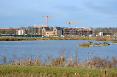 Hobson's Park lake and the Cala development. Photo: Andrew Roberts, 11 December 2016.