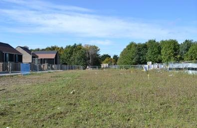 Looking across the site of Clay Farm Community Garden, from Hobson Avenue. Photo: Andrew Roberts, 30 September 2017.