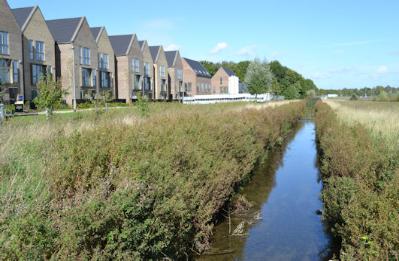 Looking along Hobson's Brook to newly completed homes on Pinnington Close. Photo: Andrew Roberts, 30 September 2017.
