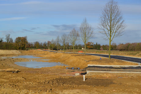 Looking along the Clay Farm spine road from the local centre, with newly planted trees. Photo: Andrew Roberts, 5 December 2011.