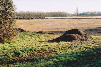 Preparation for archaeological work, looking from the north east corner of the school site. Photo: Andrew Roberts, 9 January 2011.