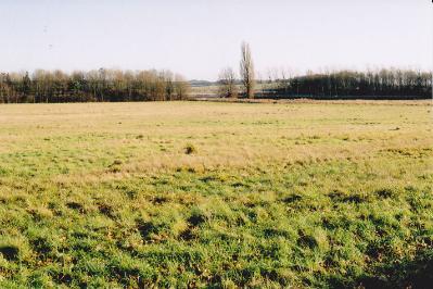 Preparation for archaeological work, looking from the north east corner of the school site. Photo: Andrew Roberts, 9 January 2011.