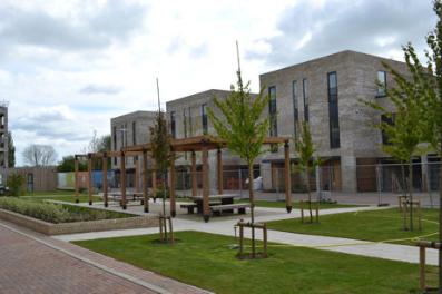 Kingfisher Gardens, Seven Acres development, Clay Farm. Photo: Andrew Roberts, 12 May 2013.