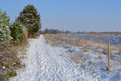 The path behind Foster Road after snow. Photo: Andrew Roberts, 10 February 2012.