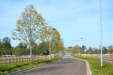 Looking north along the spine road towards the Aura development, Clay Farm. Photo: Andrew Roberts, 30 October 2013.