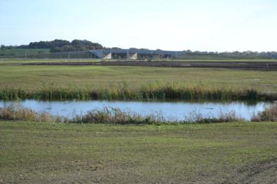Looking across the new park towards Addenbrooke’s Road, Clay Farm. Photo: Andrew Roberts, 30 October 2013.