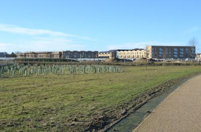 The Paragon development from Clay Farm park. Photo: Andrew Roberts, 28 December 2013.