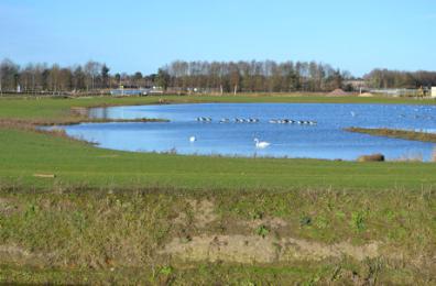The lake on the Clay Farm park. Photo: Andrew Roberts, 28 December 2013.