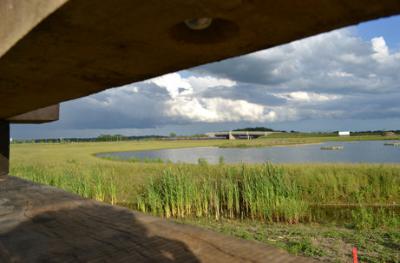 Looking from the newly-installed bird hide beside the lake on Clay Farm park, 8 June 2014.