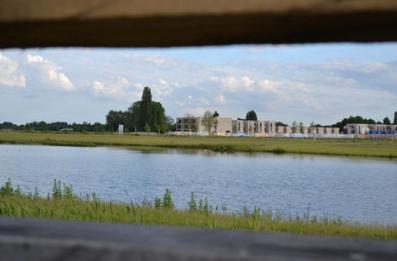 Looking from the newly-installed bird hide beside the lake on Clay Farm park, 8 June 2014.