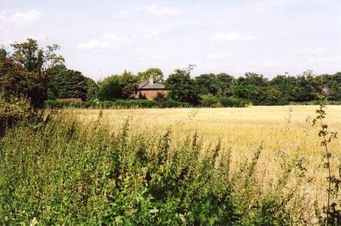 Clay Farm farmhouse and field, Clay Farm, Trumpington, from the eastern end of Wingate Way, with trees along Long Road in the background. Photo: Andrew Roberts, August 2007.