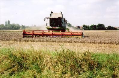 Harvesting the Showground fields, Clay Farm. Photo: Andrew Roberts, August 2007.